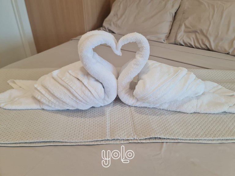 Flat Beach Class Summer Porto de Galinhas #E215